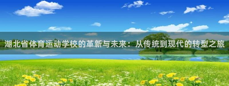 MK体育官网下载招商电话是多少：湖北省体育运动学校的