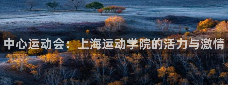 MK体育官方正版app科技：中心运动会：上海运动学院的活力与