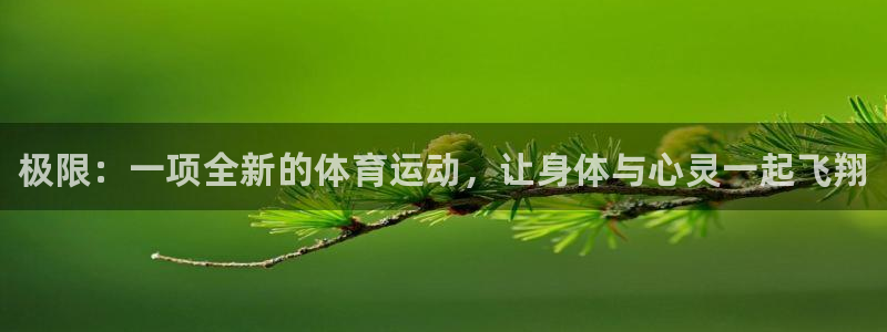 MK体育官网下载平台注册要钱吗：极限：一项全新的体育