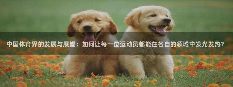 MK体育官网下载平台注册流程图：中国体育界的发展与展