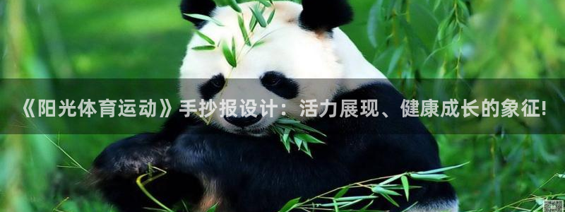 MK体育官网下载平台注册：《阳光体育运动》手抄报设计