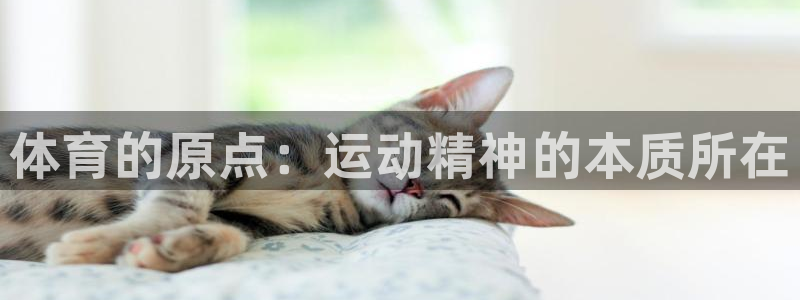 MK体育官方正版app娱乐平台：体育的原点：运动精神