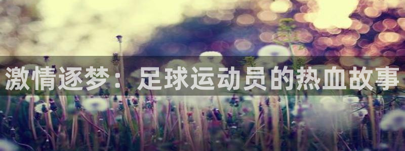 MK体育官方集团官网：激情逐梦：足球运动员的热血故事