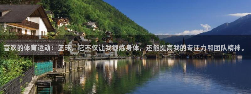 MK体育官方正版app集团简介：喜欢的体育运动：篮球