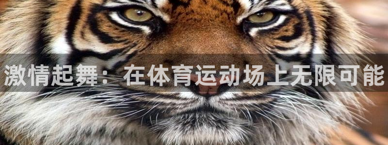 MK体育官网下载招商电话号码查询：激情起舞：在体育运