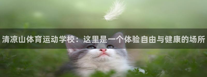 MK体育官网下载招商电话是多少：清凉山体育运动学校：这里是一