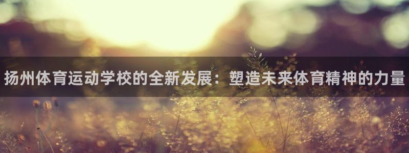 MK体育官网下载招商电话地址查询：扬州体育运动学校的