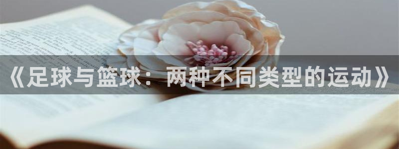 MK体育官网下载是干嘛的公司：《足球与篮球：两种不同类型的运