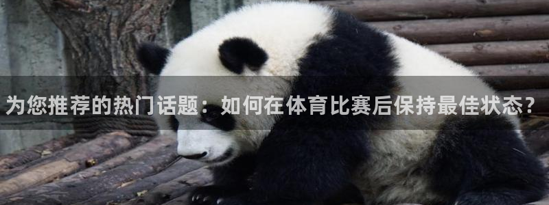 MK体育官方正版app娱乐平台：为您推荐的热门话题：如何在体