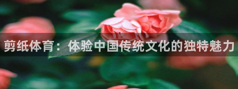 MK体育官方正版app集团