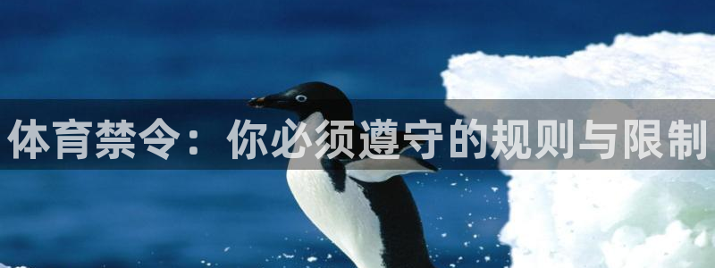 MK体育官网下载娱乐：体育禁令：你必须遵守的规则与限