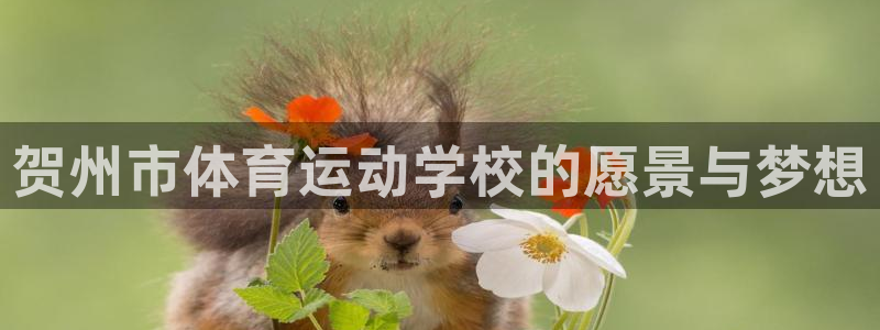 海南MK体育官网下载发展怎么样：贺州市体育运动学校的愿景与梦