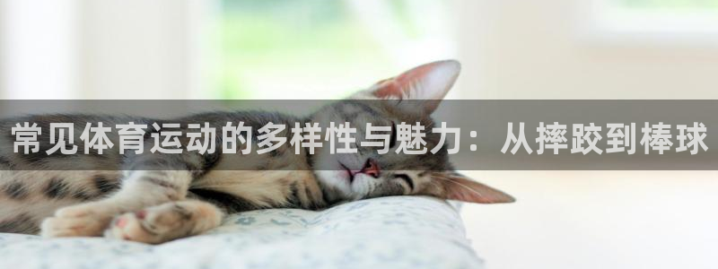 MK体育官网下载招商电话是多少号码：常见体育运动的多样性与魅