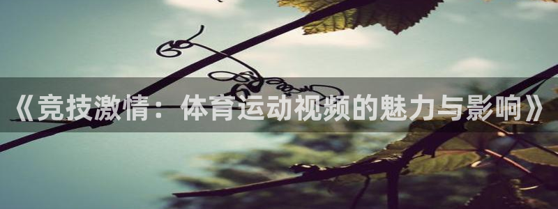 MK体育官网下载招商：《竞技激情：体育运动视频的魅力与影响》