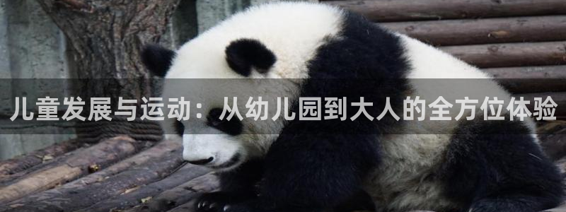 MK体育官方正版app娱乐是那个系列的台子：儿童发展与运动：