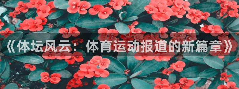 海南MK体育官网下载发展怎么样：《体坛风云：体育运动报道的新