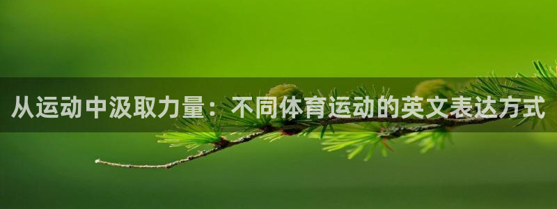 MK体育官方正版app娱乐首页网站大全:从运动中汲取力量:不