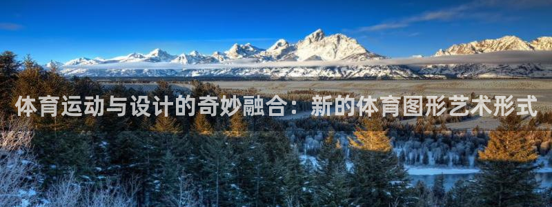 MK体育官网下载平台是正规平台吗安全吗:体育运动与设计的奇妙