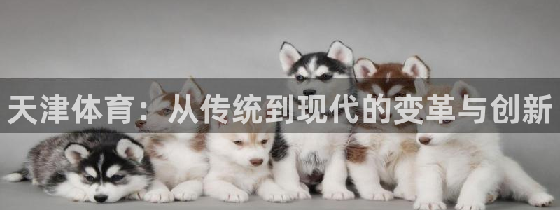 MK体育官网下载平台APP：天津体育：从传统到现代的变革与创