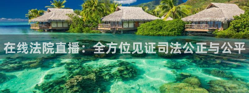 袋鼠直播体育免费观看：在线法院直播：全方位见证司法公正与公平
