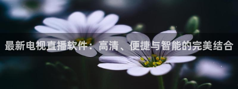 袋鼠直播nba在线看：最新电视直播软件：高清、便捷与智能的完美结合