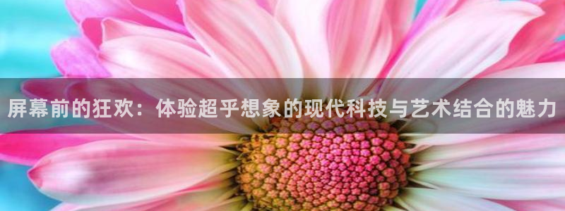 袋鼠直播nba免费观看足球：屏幕前的狂欢：体验超乎想象的现代科技与艺术结合的魅力