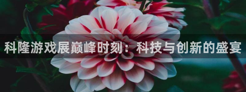 袋鼠直播体育app：科隆游戏展巅峰时刻：科技与创新的盛宴
