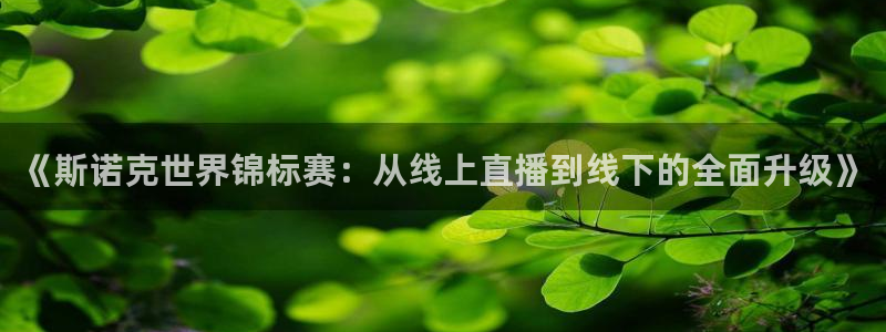袋鼠直播体育在线直播：《斯诺克世界锦标赛：从线上直播到线下的全面升级》