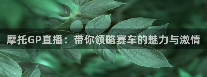 袋鼠体育nba直播：摩托GP直播：带你领略赛车的魅力与激情