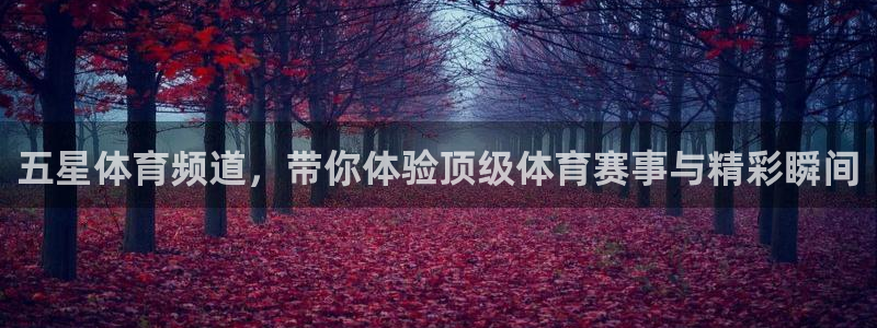 袋鼠直播体育在线直播：五星体育频道，带你体验顶级体育赛事与精彩瞬间