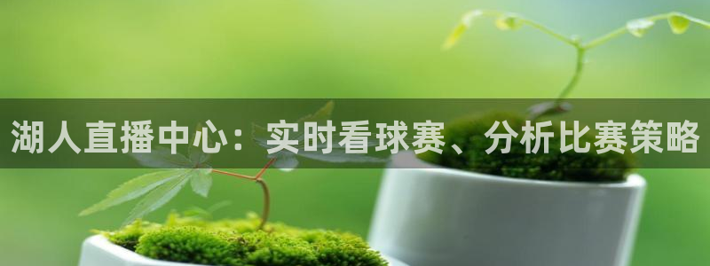 袋鼠直播在线播放：湖人直播中心：实时看球赛、分析比赛策略