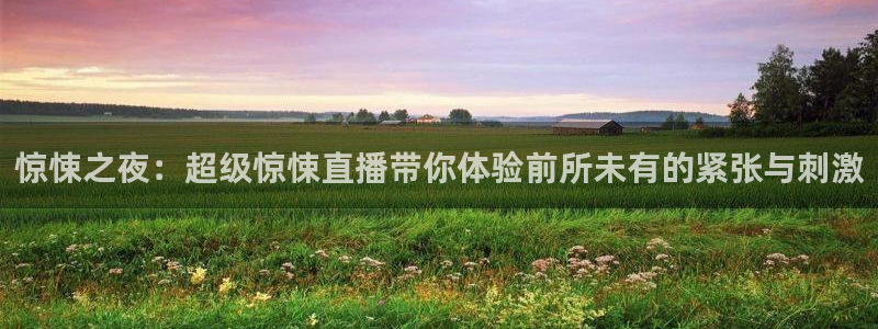 袋鼠体育直播：惊悚之夜：超级惊悚直播带你体验前所未有的紧张与刺激