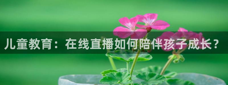 袋鼠直播nba：儿童教育：在线直播如何陪伴孩子成长？